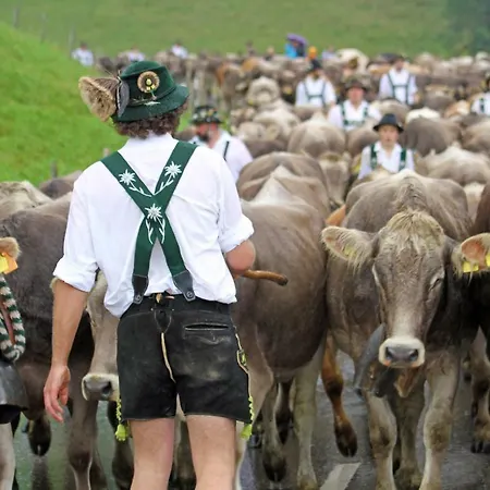 Allgäu-oase *