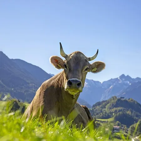 Allgäu-oase Kempten (Allgäu)
